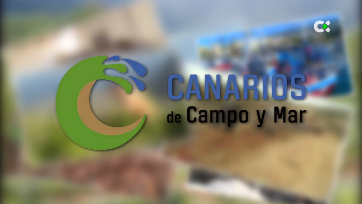 Canarios De Campo Y Mar Radio Televisi N Canaria