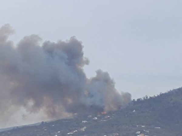 El Gobierno Activa El Nivel 2 Del Incendio Forestal En Tenerife