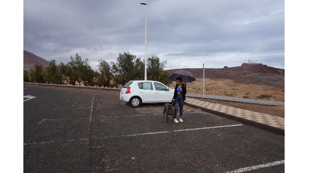 Luz Marina afronta el estado de alerta dentro de su coche