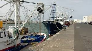 Regulada la pesca española del atún rojo con adelanto para Canarias