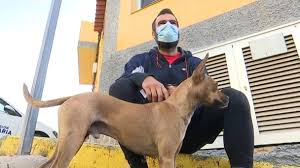 Plastiman y su perro Cholo generan conciencia limpiando los barrancos de Gran Canaria