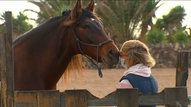 Mindfulness con caballos, una meditación diferente se abre paso en Fuerteventura