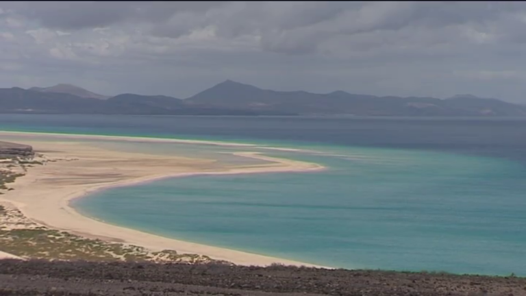 ‘Clean Ocean Project’, 20 años conservando las playas de Fuerteventura