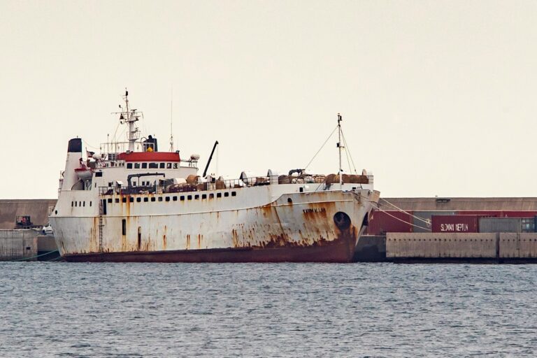 Ordenan el aislamiento y sacrificio de los cerca de 900 terneros que transporta un barco atracado en Cartagena