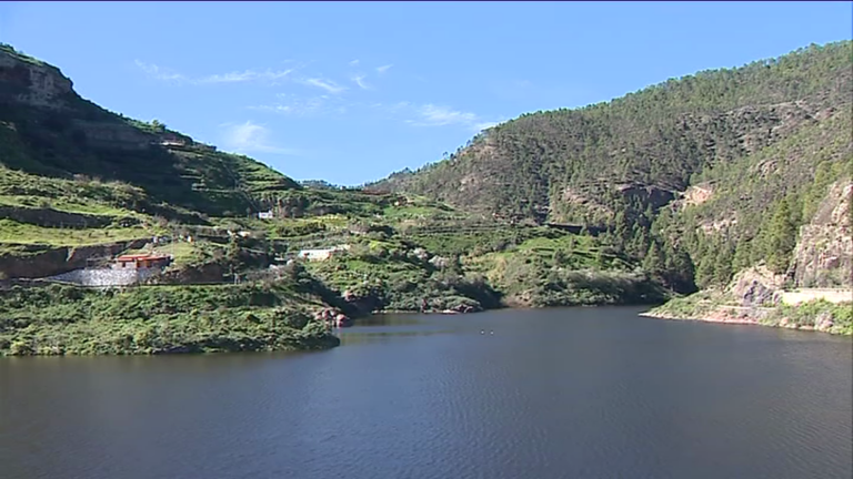 Las lluvias de enero pintan de verde la tierra quemada en los últimos incendios de Gran Canaria