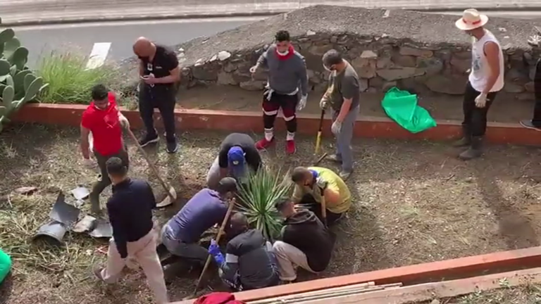 Migrantes del campamento de El Lasso adecentan jardines del barrio