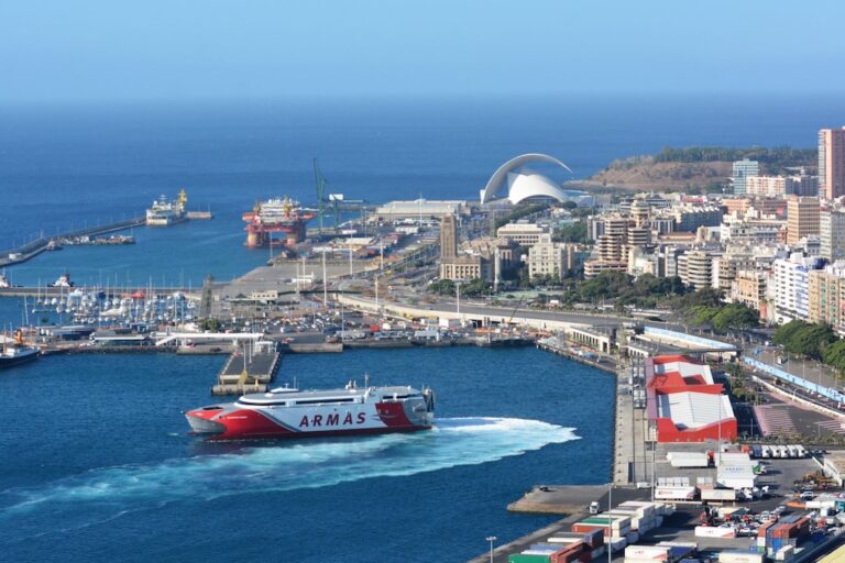 Detectan a 35 polizones que pretendían salir por mar de Santa Cruz de Tenerife