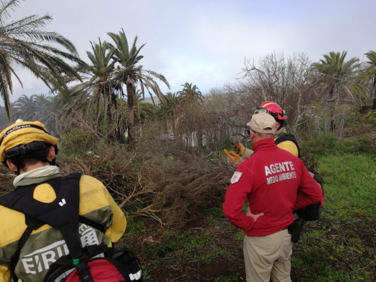 El Cabildo de La Gomera refuerza las actuaciones de prevención contra incendios