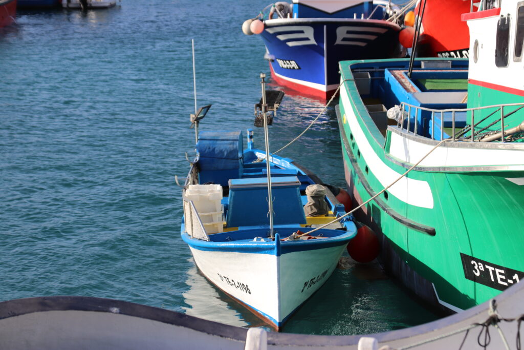 El Gobierno canario articulará nuevas ayudas al sector pesquero de La Palma