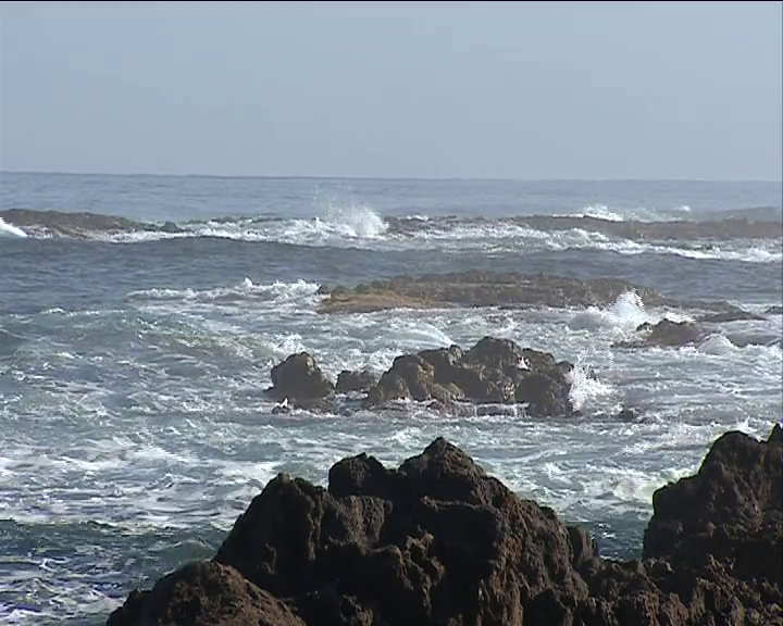 Canarias, en busca de una sociedad "climáticamente neutra" en 2040