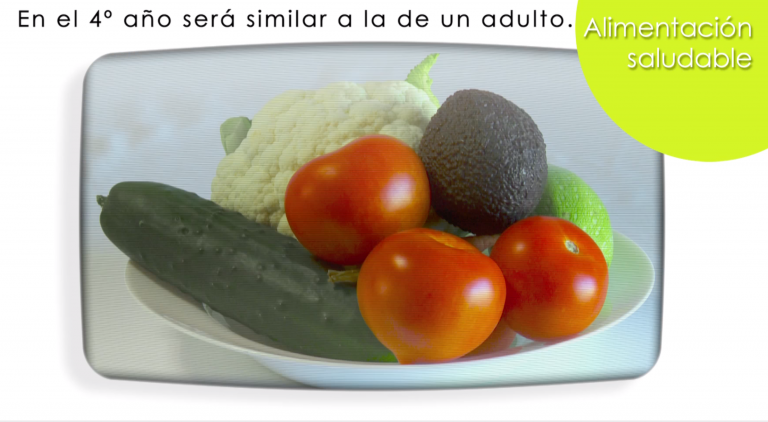 Los círculos de la vida- Energía de Colores