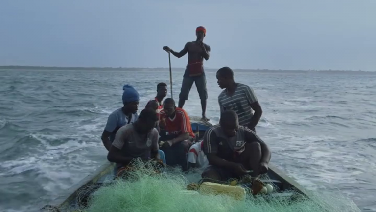La película ‘Stolen Fish’ denuncia cómo la industria extractiva china fuerza la migración en Gambia