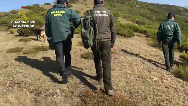 Investigan a un hombre por matar a golpes a un carnero y pedir a un menor que lo grabe