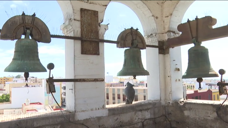 Las campanas piden protección