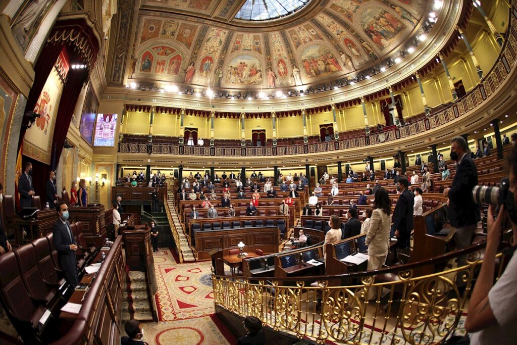 Minuto de silencio momentos antes de dar inicio el pleno de este martes en el Congreso de los Diputados . EFE/Rodrigo Jiménez