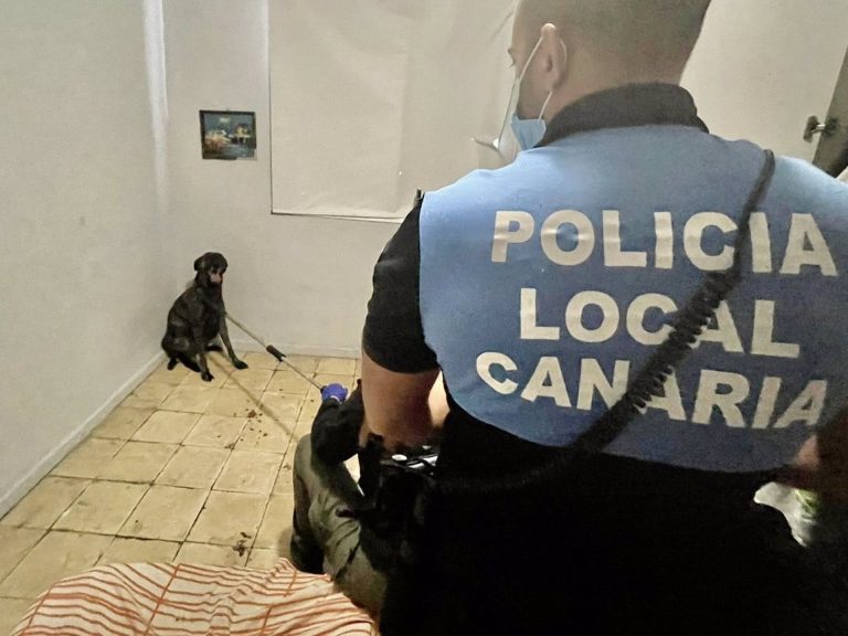 Un varón resulta herido al ser atacado por su perro en La Laguna