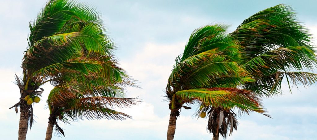 Alerta por fuerte viento en El Hierro, La Gomera y Tenerife