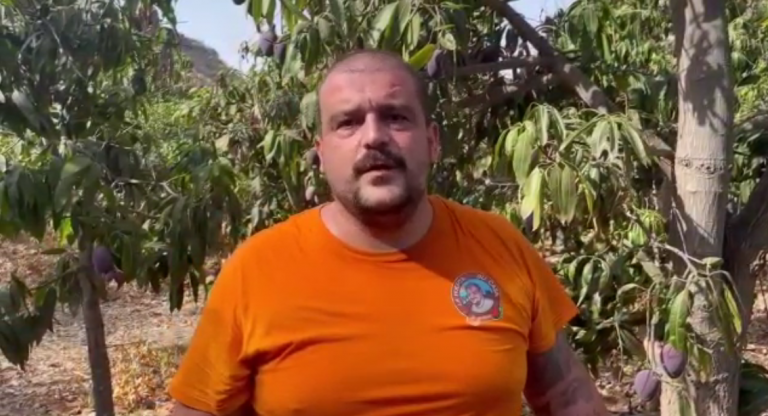Un agricultor de Gran Canaria pide ayuda para vender su producción de mangas