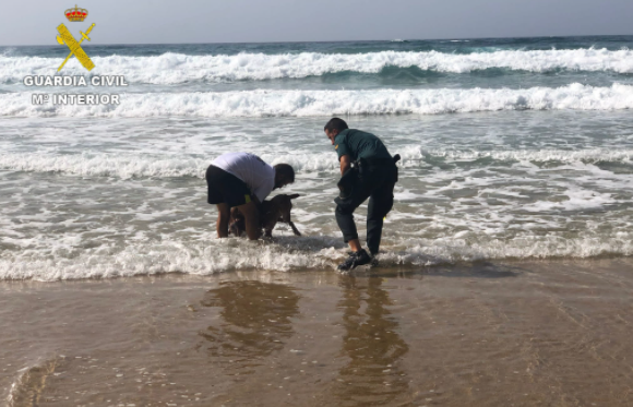 Rescate perros Guardia Civil Fuerteventura