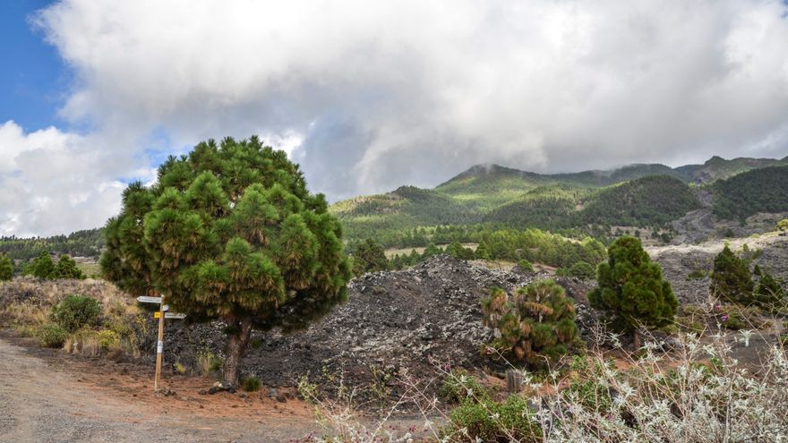 El IGN registra más de 70 sismos en La Palma