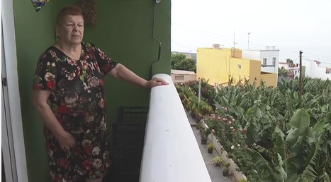 Los vecinos confinados de forma preventiva de San Borondón, Marina Alta, Marina Baja y La Condesa siguen con preocupación la evolución del volcán