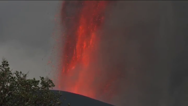 Estudian los efectos de la ceniza del volcán en el ecosistema marino de la isla