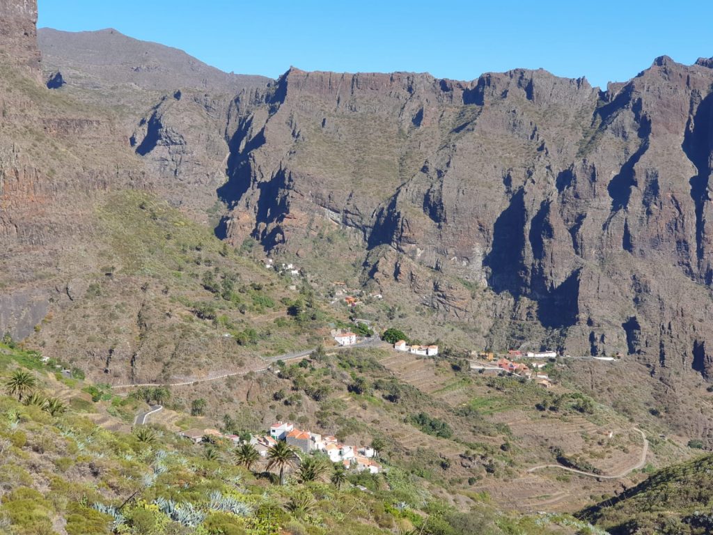 Canarias busca más autoabastecimiento con el Plan de Soberanía Alimentaria 