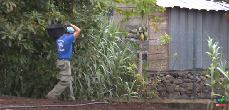 El cambio climático en Canarias, en ‘Noche de reportajes’