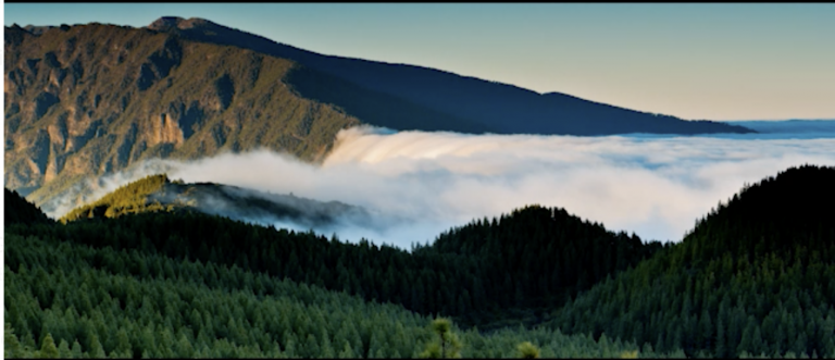 Turismo despide 2021 con un spot para promocionar La Palma en el mercado nacional