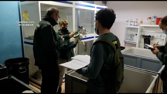 La Guardia Civil investiga a una empresa por comercialización ilícita de animales domésticos