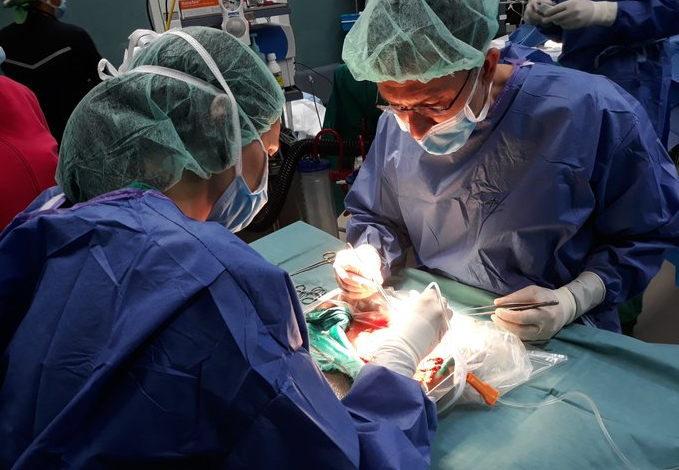 Sanidad realiza 184 trasplantes de órganos durante el pasado año 2021
