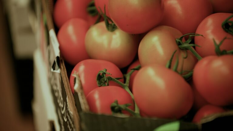 El Cabildo de Gran Canaria inicia los trámites para evitar la competencia desleal del tomate canario