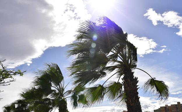 Todas Canarias está en situación de prealerta por viento 