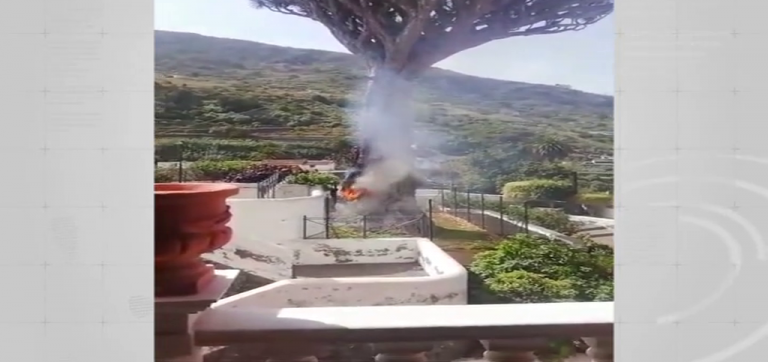 Sofocan un incendio en el drago de San Antonio, en Icod de Los Vinos