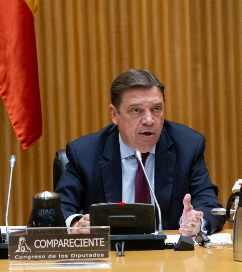 PP y ERC piden a Albares explicaciones sobre el Sáhara en el Senado