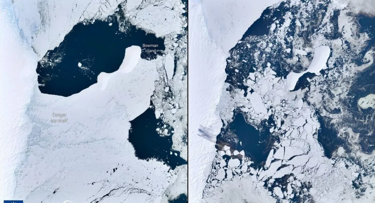 Una plataforma de hielo de más de 1.200 Km2 colapsa en la Antártida