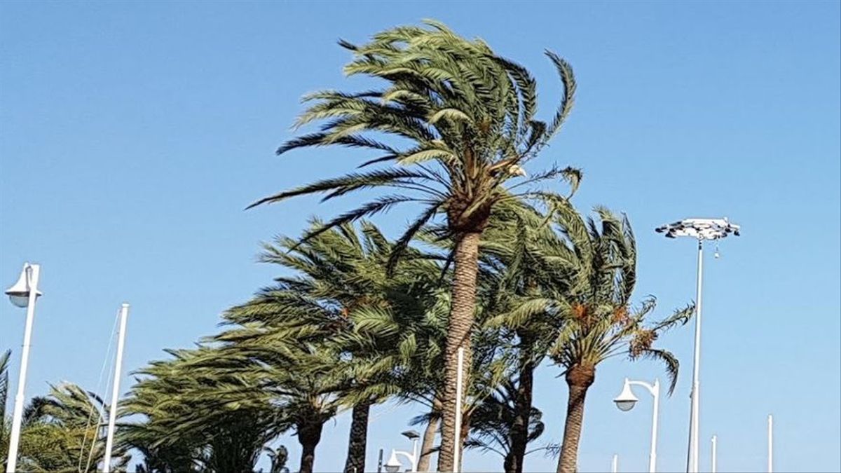 A partir del martes Canarias estará en alerta por fuerte viento