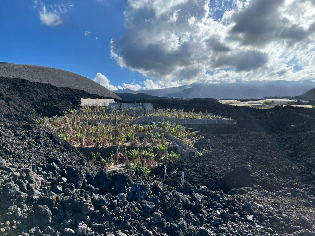 Amplían la ayuda para la recuperación de terrenos sepultados por la lava