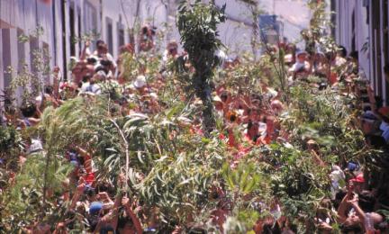 Canarias alberga una gran riqueza cultural en la que se enmarcan sus numerosos festejos. Con el fin de las restricciones, el Archipiélago ha recuperado sus fiestas tradicionales