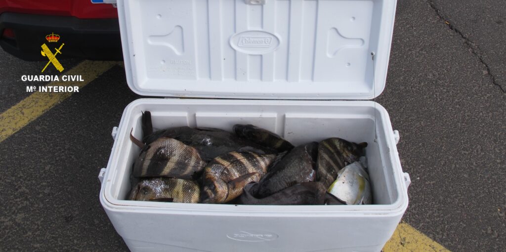 La pesca furtiva: incautados 45 kilos de pescado capturados de forma ilegal en El Hierro