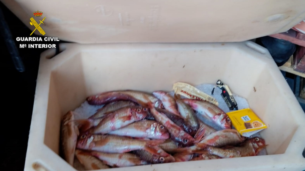 Pescadores denuncian «un nuevo atropello» al sector en Canarias