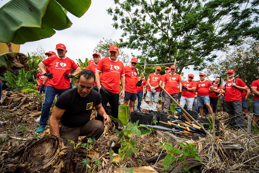 El voluntariado corporativo se suma al proyecto 'Planta La Palma' de Cruz Roja