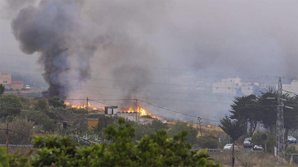 Conato de incendio en el municipio de Guía en Gran Canaria