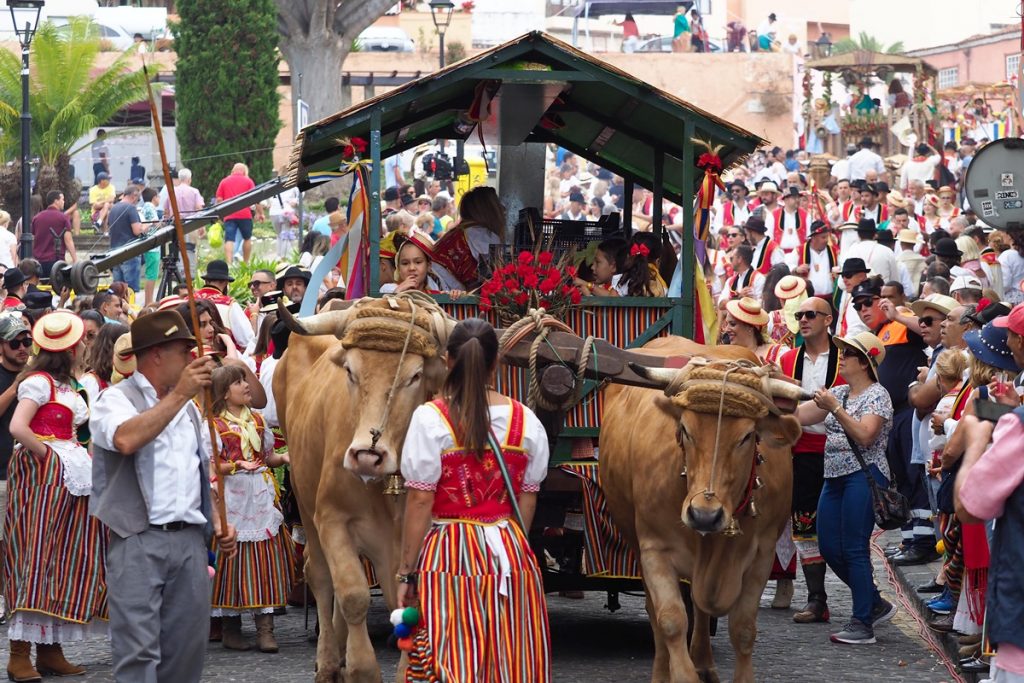 RTVC celebra la Romería de La Orotava, una de las más históricas de Canarias