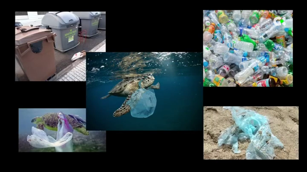 Los alumnos de Bachillerato contra el plástico de los océanos