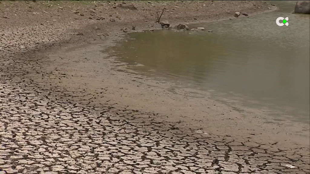 2.000 millones en ayudas para paliar los efectos de la sequía en España