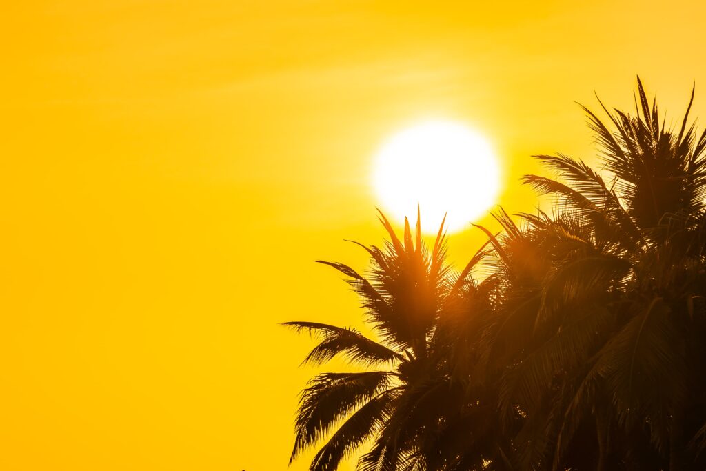 Sanidad activa avisos de riesgo para la salud por el calor en Gran Canaria, Tenerife, La Palma y Fuerteventura