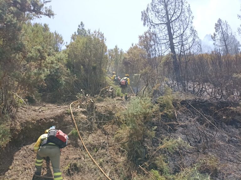 Situación de prealerta por altas temperaturas y alerta por incendios en Canarias