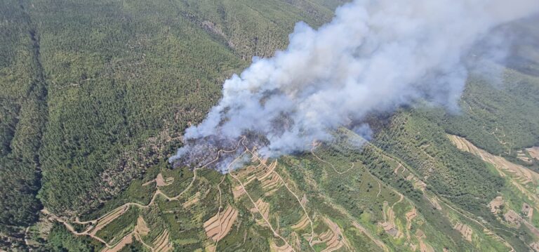 Un centenar de efectivos se desplegarán esta noche para estabilizar el incendio de Los Realejos, en Tenerife