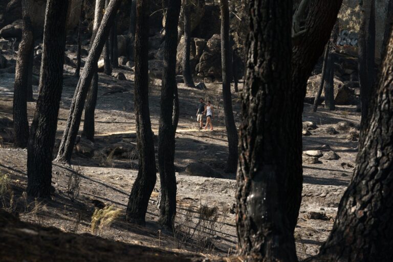 El fuego sigue activo en Tenerife mientras que en la Península se va apagando